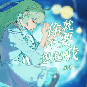 你就不要想起我