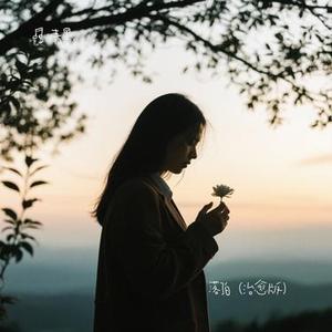 落了白 (治愈版)