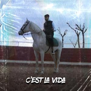 Ces't La Vida (feat. Tangerino)