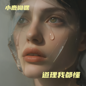 道理我都懂
