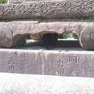 5秒记忆(feat.洛天依)