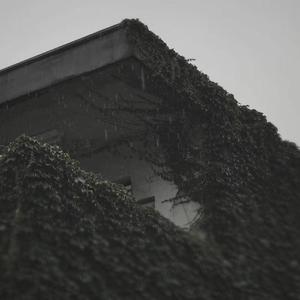 ニワカアメ（COVER BY 神宮寺酔っ払い）