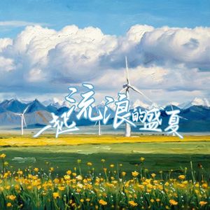 一起流浪的盛夏