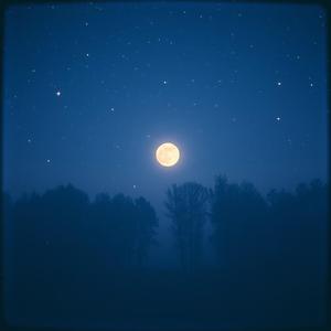 我在地球的某个角落默默地祝福你 (I am Silently Blessing You in a Corner of t by @jingdu