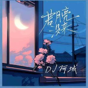若月亮还没来（DJ域总版）
