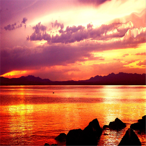 Stop the Madness, Stop the War! Love and Freedom, Hate No More! (feat. Andrei Krylov)