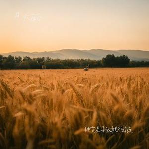 露水情份泪满瞳