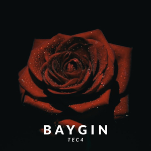 Baygın