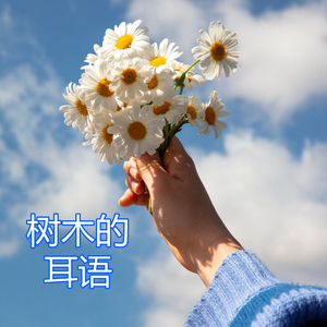 树木的耳语