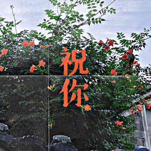 祝你 伴奏