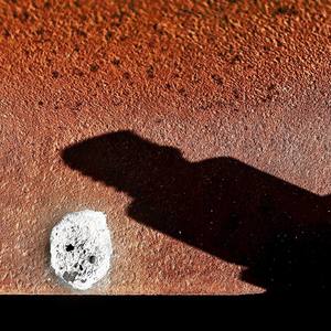 Инстинкт самосохранения