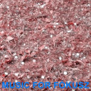 Music For Fókusz