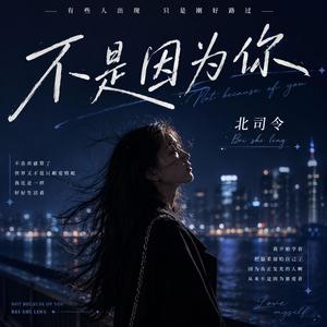 不是因为你