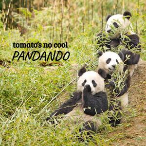 Festa Junina (Boyzinho Seu Valdemar Cuelhinho)