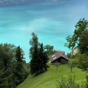 为什么爱过痛过还错过 焦七七