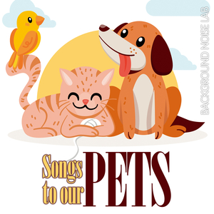 Twinkle Twinkle Little Star