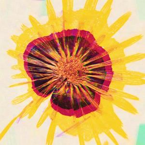 Paydae (feat. Depths)