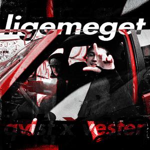 Ligemeget