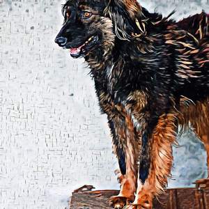 don't really feel like