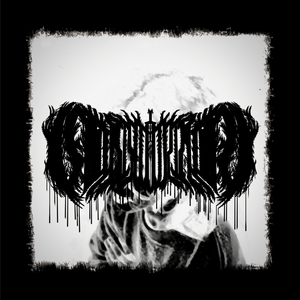 White Rose（白玫瑰）