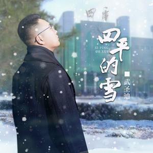 四平的雪