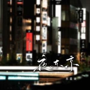 夜东京 (广播版)