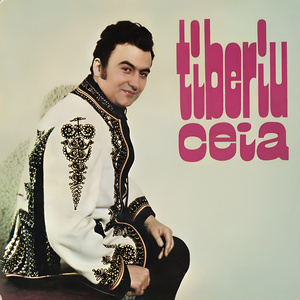 Pasărea Și Pitulicu