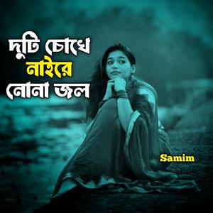 দুটি চোখে নাইরে নোনা জল