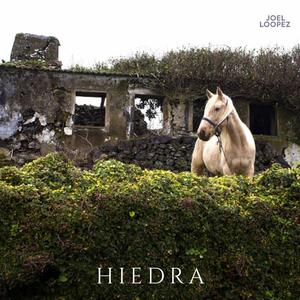 Hiedra