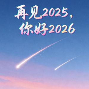 再见2025