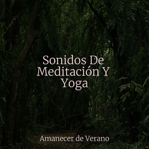 El hechizo de la lealtad