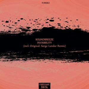 Invisibility (Original Mix)