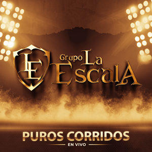 MLP (En Vivo)