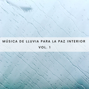 Meditación De Plomería