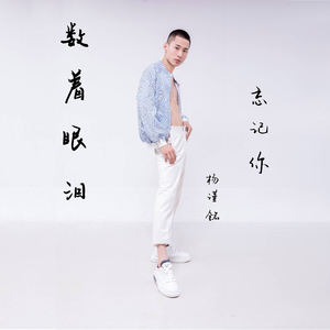 数着眼泪忘记你 (DJheap九天版)