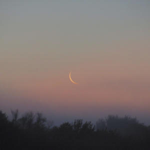 рассвет/закат