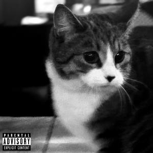 Elysian (feat. Sofia Lane)