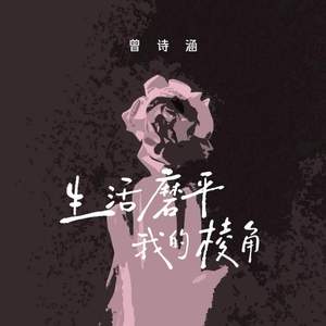 生活磨平我的棱角 (车载DJ版)