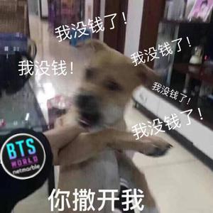 Heartbeat（翻自 白天使）