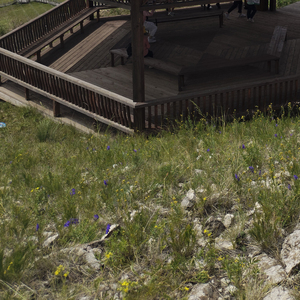 如果生活不用钱谁拿命赌明天