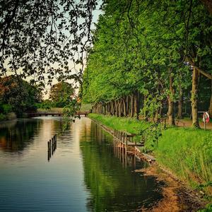 En annan Landskrona visa