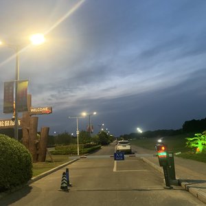 如果爱一场只为被忘掉