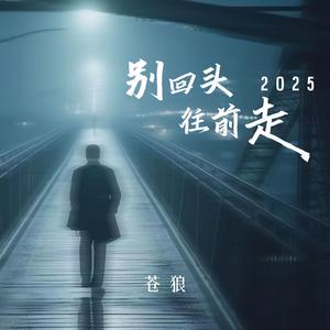 别回头往前走2025