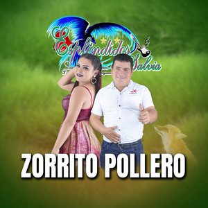 ZORRITO POLLERO