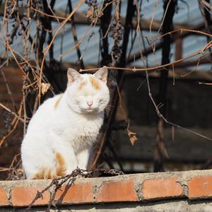 你走（翻自 松紧先生（李宗锦））