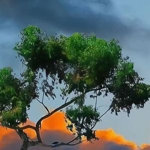 思绪漂浮的海洋