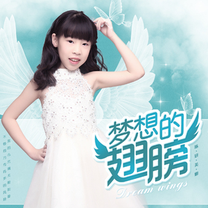 梦想的翅膀