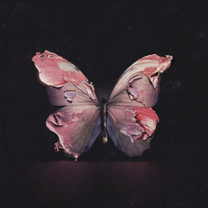 别非要我大声说出来