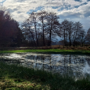 Ausdruck Der Regungen Im Bereich Des Hörbaren