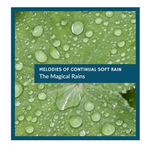 Sudden Rain Dripping